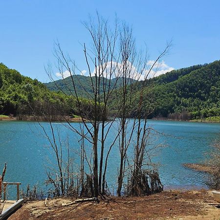Pensiunea Izvorul Bucuriei Siriu Exterior foto