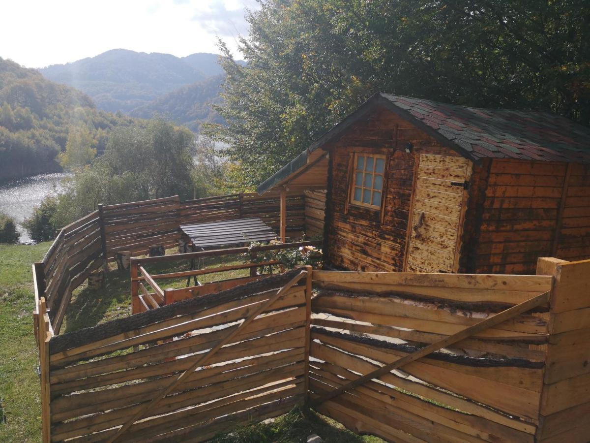 Pensiunea Izvorul Bucuriei Siriu Exterior foto
