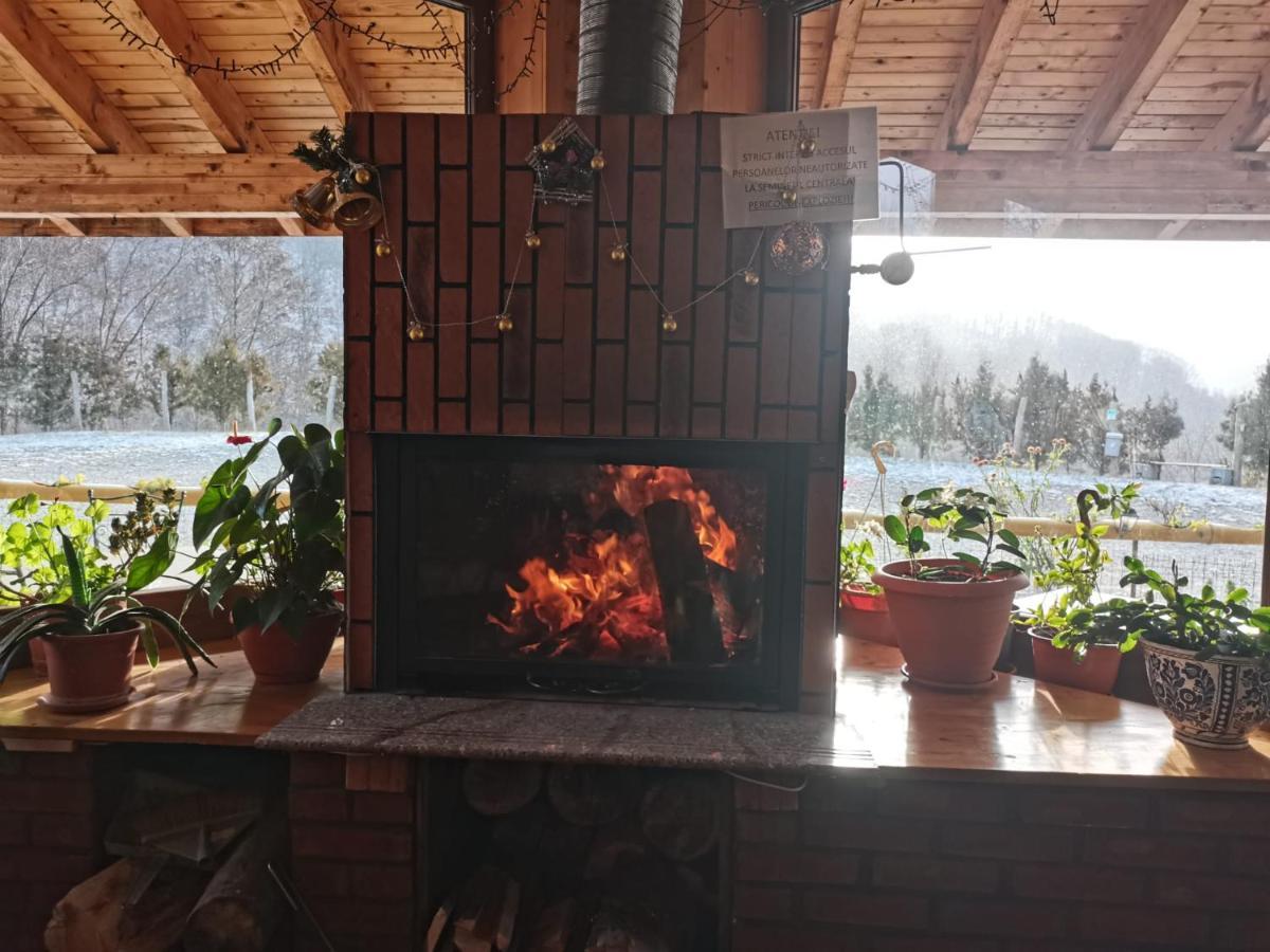 Pensiunea Izvorul Bucuriei Siriu Exterior foto
