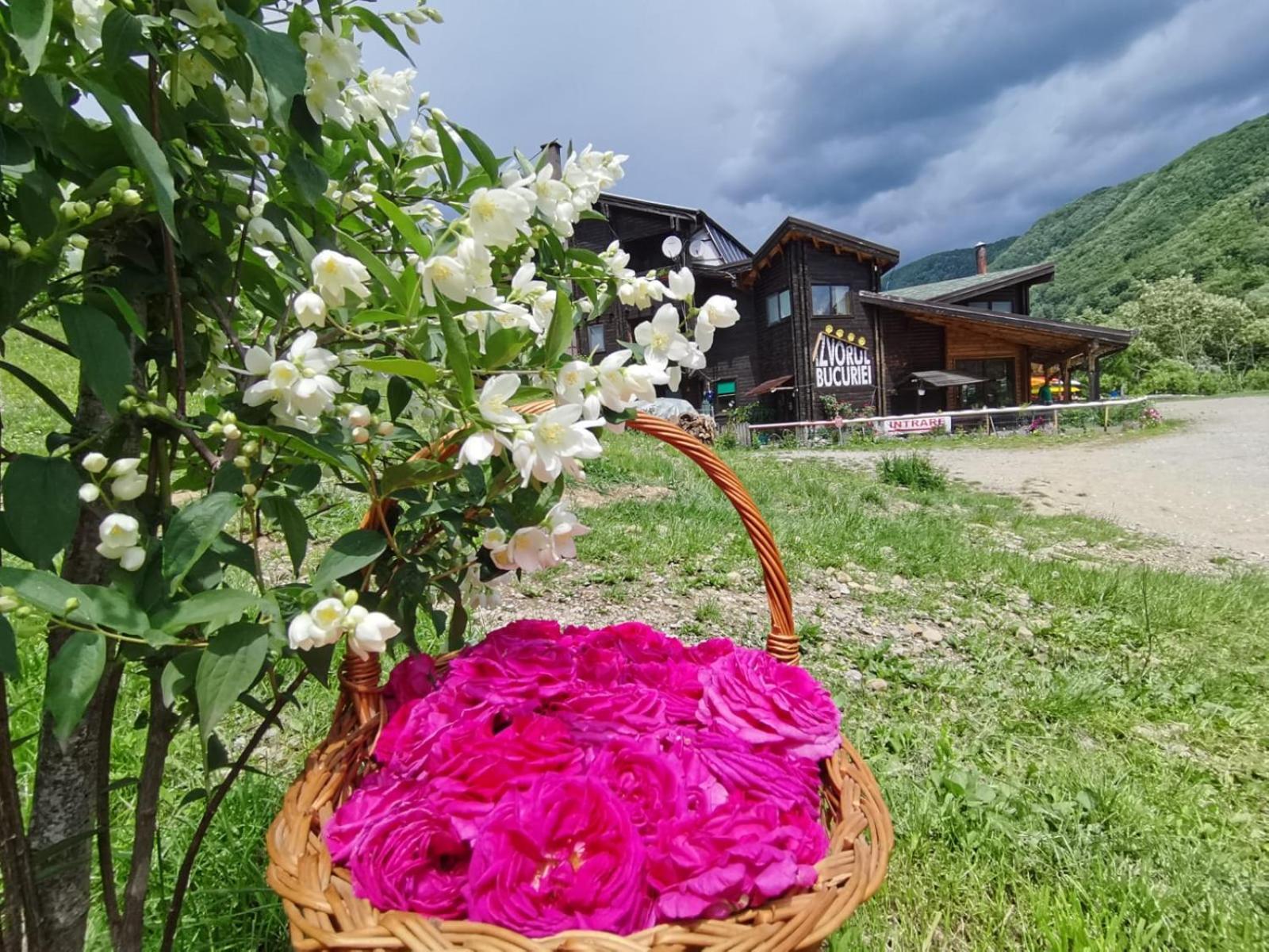 Pensiunea Izvorul Bucuriei Siriu Exterior foto