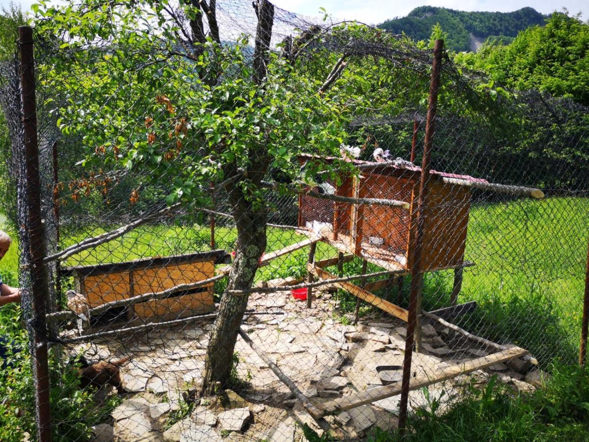 Pensiunea Izvorul Bucuriei Siriu Exterior foto