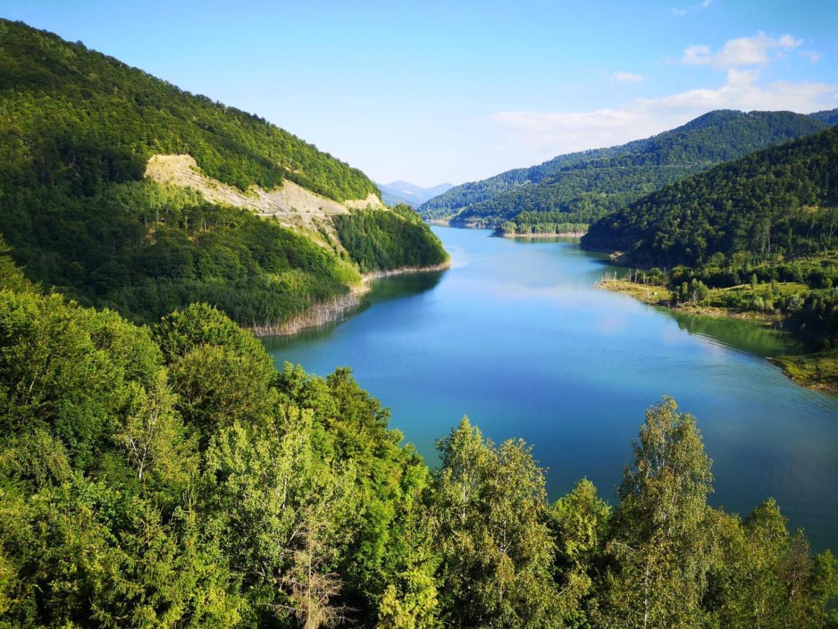 Pensiunea Izvorul Bucuriei Siriu Exterior foto
